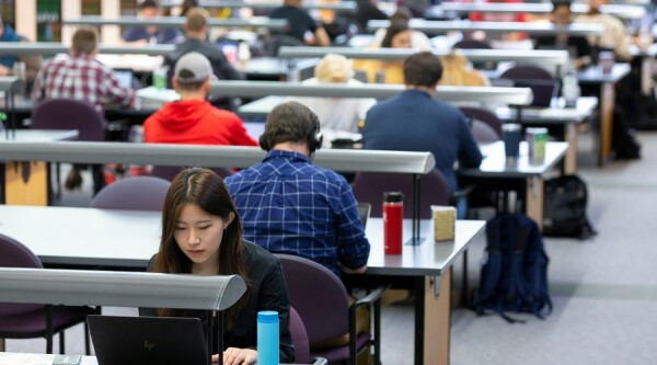 students studying in the library