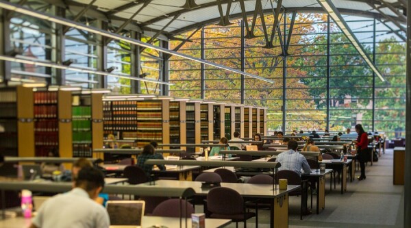 students studying in the library