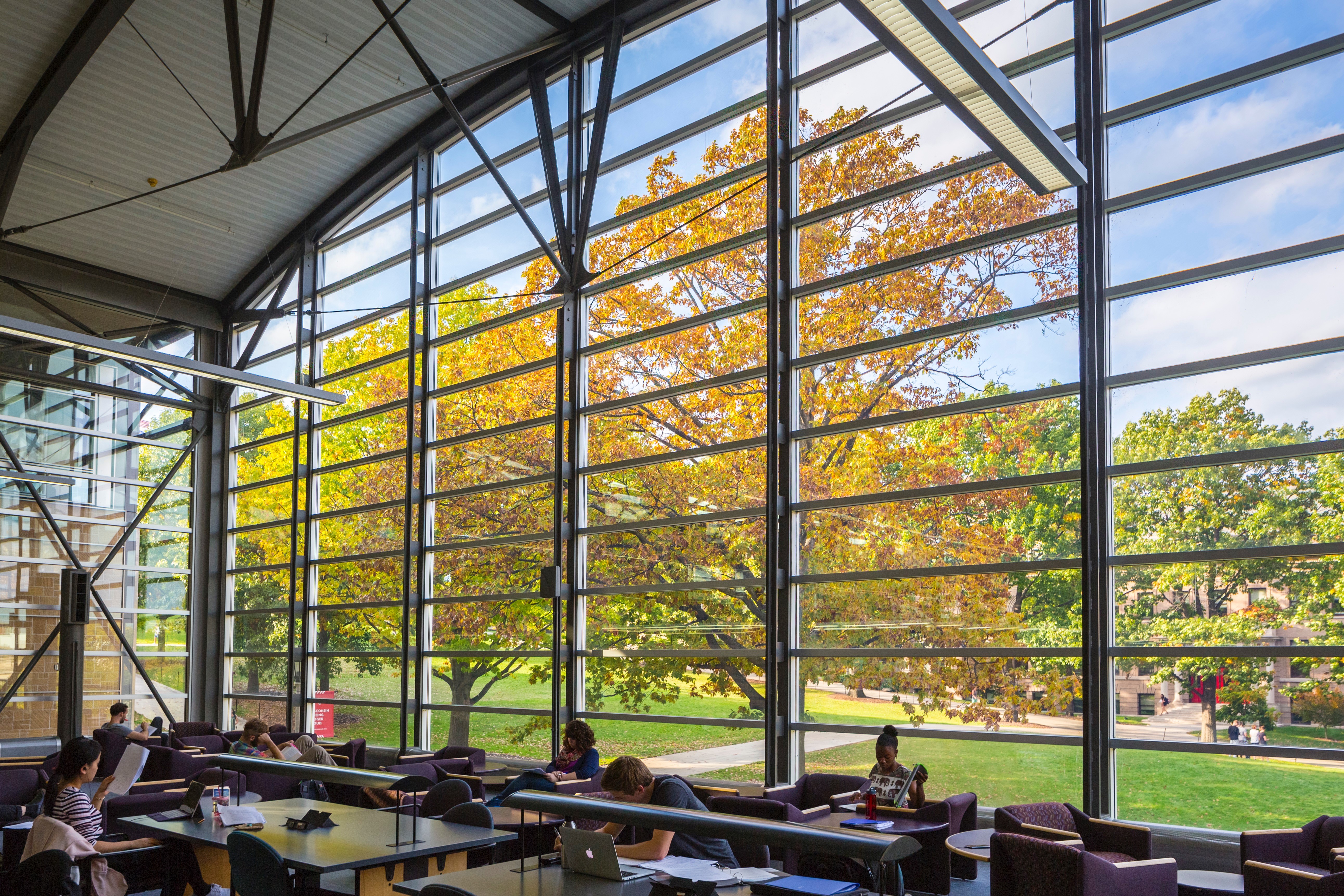 A photo of the interior of the Law School Library featuring long horizontal windows and an arched roof with colorful yellow and orange autumn leaves on trees visible outside on the green space of Bascom Hill.