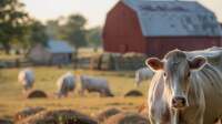 farm