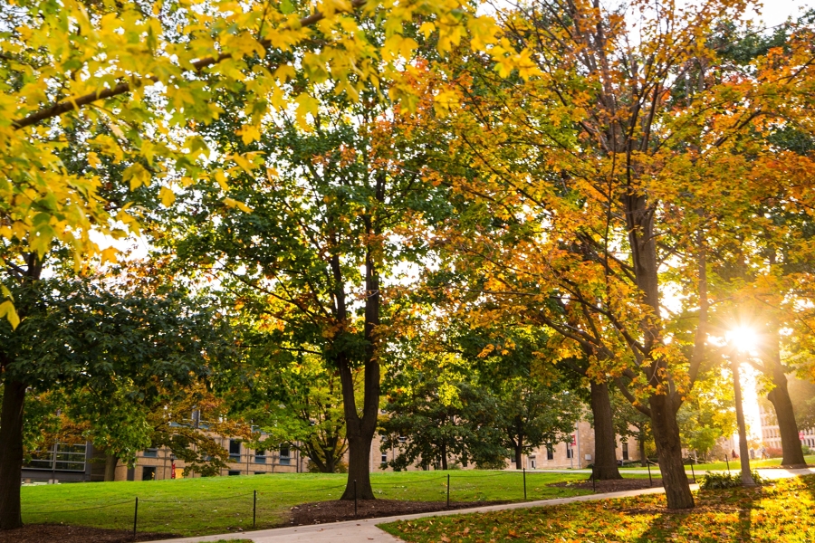 bascom hill in autumn with the sun peaking through