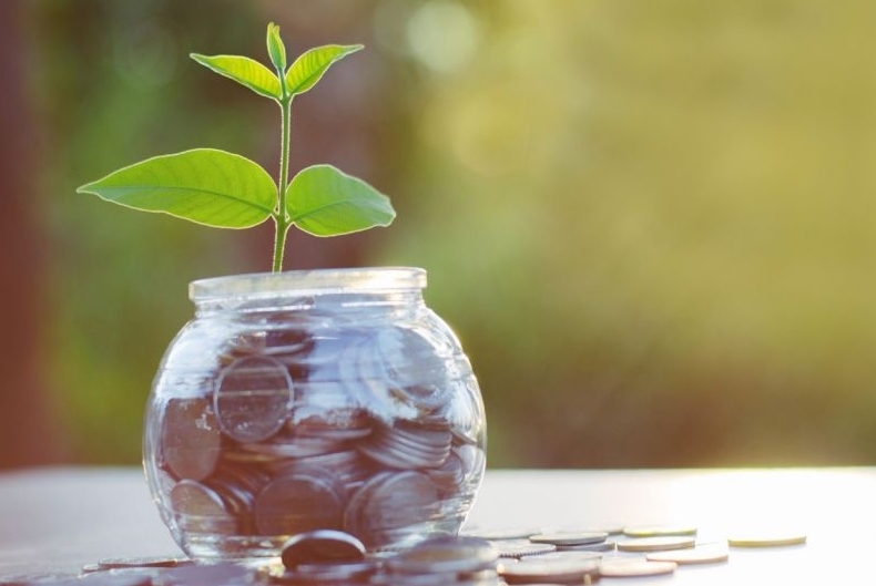 plant growing out of jar with coins